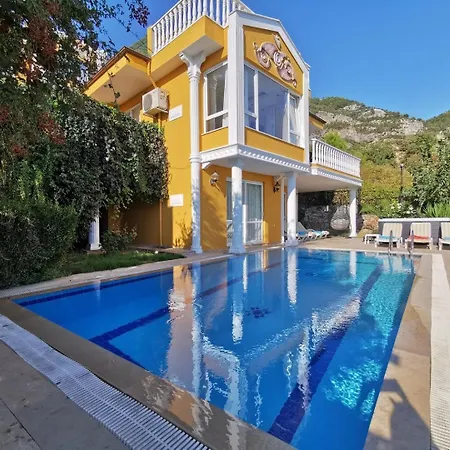 With A Pool And Jacuzzi 알란야